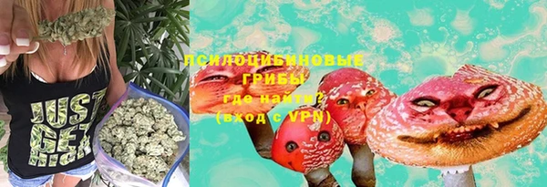 твердый Нея